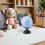 Multi-Color PVC Learning Globe for Kids Classroom Creative Study 7