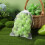 150Pcs Fruit Protection Mesh Bags White Drawstring Nets for Garden Use 8