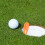 30St Draagbare Golfs Divot Tool Voor Effectief Grasherstel 8