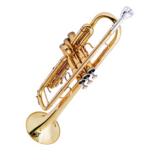 Bb Trumpet for Beginners with Durable Brass Body, Clear Bright Tone and Case for Student Band