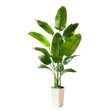 6FT Bird of Paradise Artificial Plant with White Tall Planter, Lifelike Tropical Indoor Decor