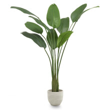 6ft Artificial Bird of Paradise Plant with Pot, Realistic Lifelike Leaves, Tall Fake Tropical Decor