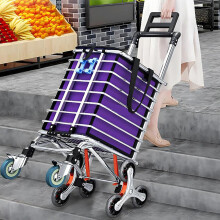 Folding Shopping Trolley with Stair Climbing Wheels, 8 Wheel Aluminum Cart for Elderly, 35L Removable Bag
