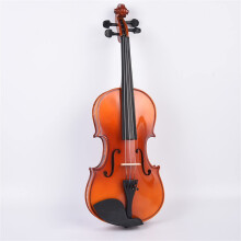 Solid Wood Beginner Violin 1/2 Size for Adult and Kids Students, Ebony Fingerboard, Fine Tuning