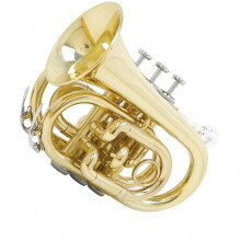 Pocket Trumpet Bb Brass Instrument with Bright Tone Smooth Valves and Case for Beginners Travel