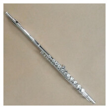 Nickel Plated C Flute with E Key, 16 Hole Closed Hole Design, Clear Melodious Tone, Hard Case Included
