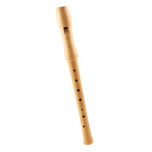 Wooden Soprano Recorder and 8Hole Beginner Clarinet Set, Clear Bright Tone, BeginnerFriendly Fingering