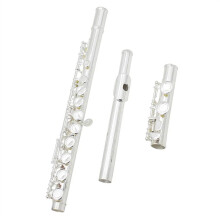 Silver Plated C Flute for Beginners, Curved 16 Key Closed Hole Design, Bright Tone with Leather Case