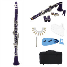 B Flat Clarinet for Beginners, 17Key ABS Body, Clear Sound with Case and 10 Reeds