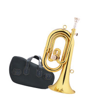 Brass Trumpet for Students Beginners C Key Bb with Bright Tone and Powerful Projection
