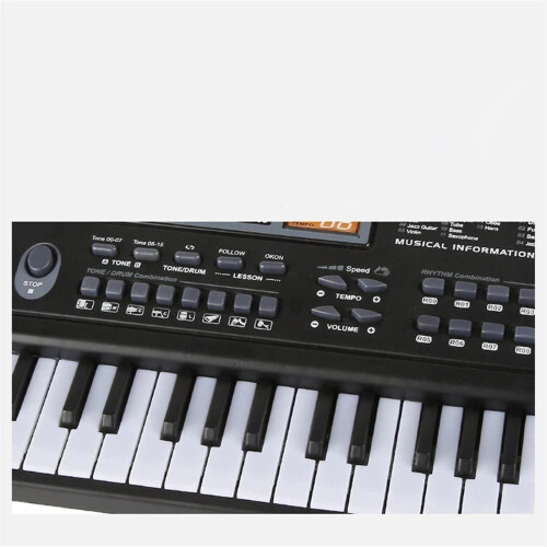 61 Key Electronic Keyboard Piano with Builtin Microphone, Multiple Sound Modes for Beginners, EU Version 2