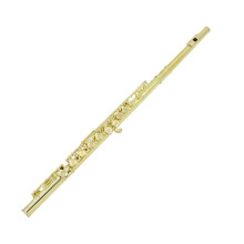 Open Hole Flute 16 Holes C Key Gold White Copper Clear Sound Smooth Keys with Case