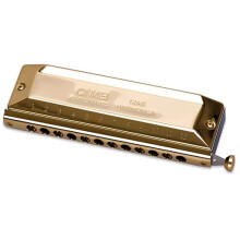 Professional 12 Hole Harmonica in C Key with Clear Tone and Stable Airflow Comb for Blues and Folk