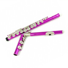Rose Pink 16 Hole C Key Nickel Plated Flute with Case, Bright Tone for Beginners and Pros