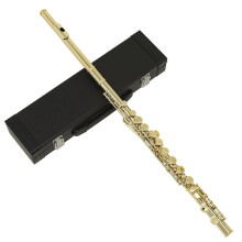 Silver Plated Student C Key Flute 16 Hole Cupronickel Body with Case Gloves and Cleaning Rod