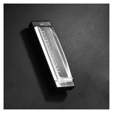 Professional 10 Hole C Key Harmonica Silver Diatonic Blues Harp with Clear Sound and Carry Box