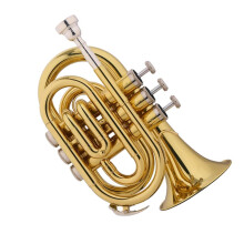 Beginner Bflat Student Trumpet with Bright Clear Tone for Practice, Lessons and Grade Exams