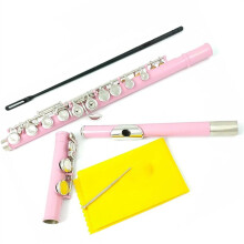 C Flute 16 Key Closed Hole Nickel Plated Cupronickel with E Mechanism Pink for Beginners