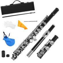 Pink C Key Flute 16 Hole Nickel Silver Open Hole Design with Case for Beginners