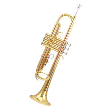 Student Trumpet Bb Brass for Beginners with Airtight Leakproof Design and Warm Accurate Intonation