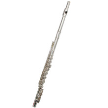 Silver Plated C Key Flute 16 Closed Holes with E Mechanism, Bright Resonant Sound for Beginners and Professionals