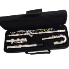 Beginner Silver Plated Closed Hole C Flute with Case, Clear Tone and Durable Nickel Finish