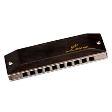 Blues Harmonica 10 Hole Key G Sandalwood Cover Black Diatonic for Blues and Folk