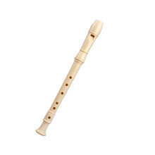 Descant Recorder Flute in C for Beginners, 6 Hole ABS Soprano Recorder with Clear Tone