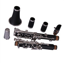 B Flat 17 Key Beginner Clarinet ABS Resin Body with Silver Plated Keys, Clear Tone and Durable Design