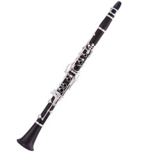 Ebony Body Bb Clarinet with Silver Plated Keys, Rich Clear Tone, Durable Construction, Carrying Case