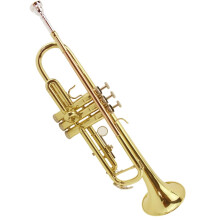 Professional Bb Brass Trumpet for Beginners, Gold Finish, Clear Bright Sound and Rich Resonant Tone