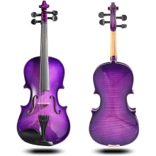 Purple 1/2 Size Beginner Violin Set with Case Bow and Rosin, Maple Build, Rich Clear Tone