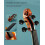 Full Size Violin for Beginners Set with Bow and Case, Complete Starter Kit with Rosin and Extra Strings 4
