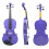 4/4 Student Violin for Beginners with Case, Handcrafted Build, Clear Balanced Tone 2
