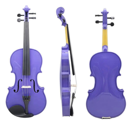 4/4 Student Violin for Beginners with Case, Handcrafted Build, Clear Balanced Tone 1