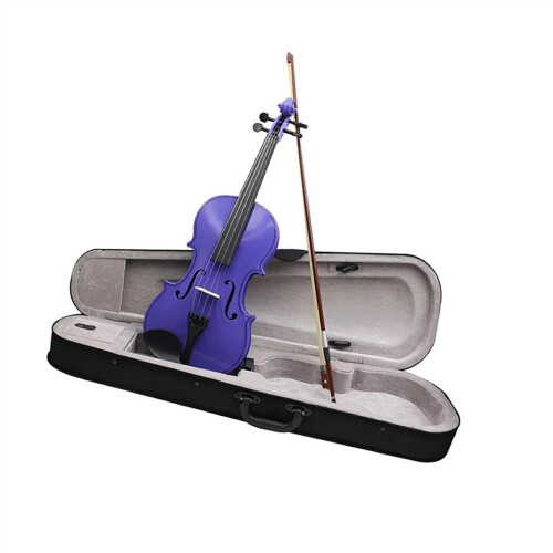4/4 Student Violin for Beginners with Case, Handcrafted Build, Clear Balanced Tone