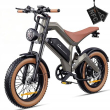 Elektrische fiets - DYU - M20 - Motor 1000W - Batterij 48V - 18.2Ah - Banden 20x4,0
