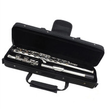 Silver Plated C Flute 16 Closed Holes for Beginners with Case Easy Play Keys Bright Clear Tone