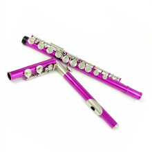 Nickel Plated C Key Student Flute, 16 Hole Closed, Cupronickel Body with E Mechanism for Beginners