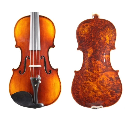 4/4 Full Size Beginner Violin Set with Case and Bow, Warm Tone, Durable Ebony Fingerboard 2