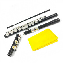 Nickel Plated Cupronickel C Key Flute, 16 Closed Holes, Clear Bright Sound, Ergonomic Design with Case
