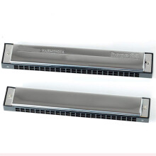 24 Hole Harmonica Key C Blues Harp with ABS Comb and Brass Reeds for Consistent Tone and Easy Maintenance