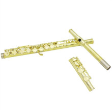 Gold Plated C Key Flute with Leather Pads, Handcrafted Mouthpiece, Rich Tone for Students