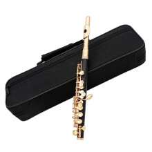 ABS Resin Piccolo Flute C Key GoldPlated Headpiece Clear Bright Sound with Carrying Case
