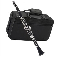 17 Key Bb Clarinet for Beginners with Durable Bakelite Body and Clear Rich Tone Accessories