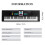 61 Key Electronic Keyboard Piano with Microphone, Multiple Tones and Rhythms, Comfortable Key Action 5