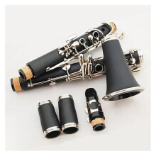 Professional Bb Clarinet 17 Key B Flat Bakelite Body with Case and Accessories for Clear Balanced Tone