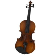 4/4 Acoustic Violin Full Size Student Fiddle with Case and Bow Ready to Play Setup