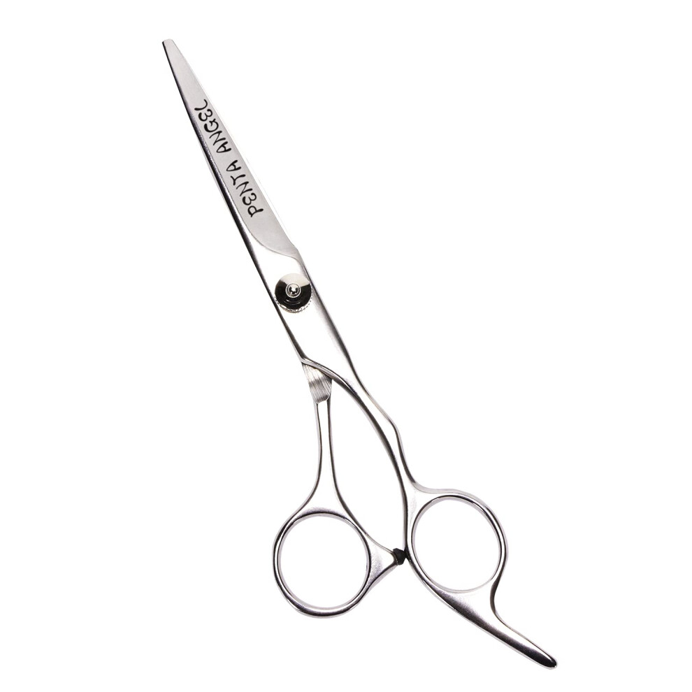 Professional Hair Cutting Scissors 6.7 Inch Stainless Steel Barber Shears Razor Edge for Salon and Home