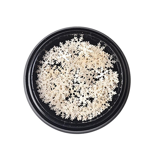 Snowflake Series Ultra-thin Nail Art Sequins White Lover Snowflake Seq 2